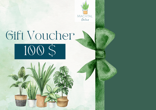 Machtal Online Gift Card