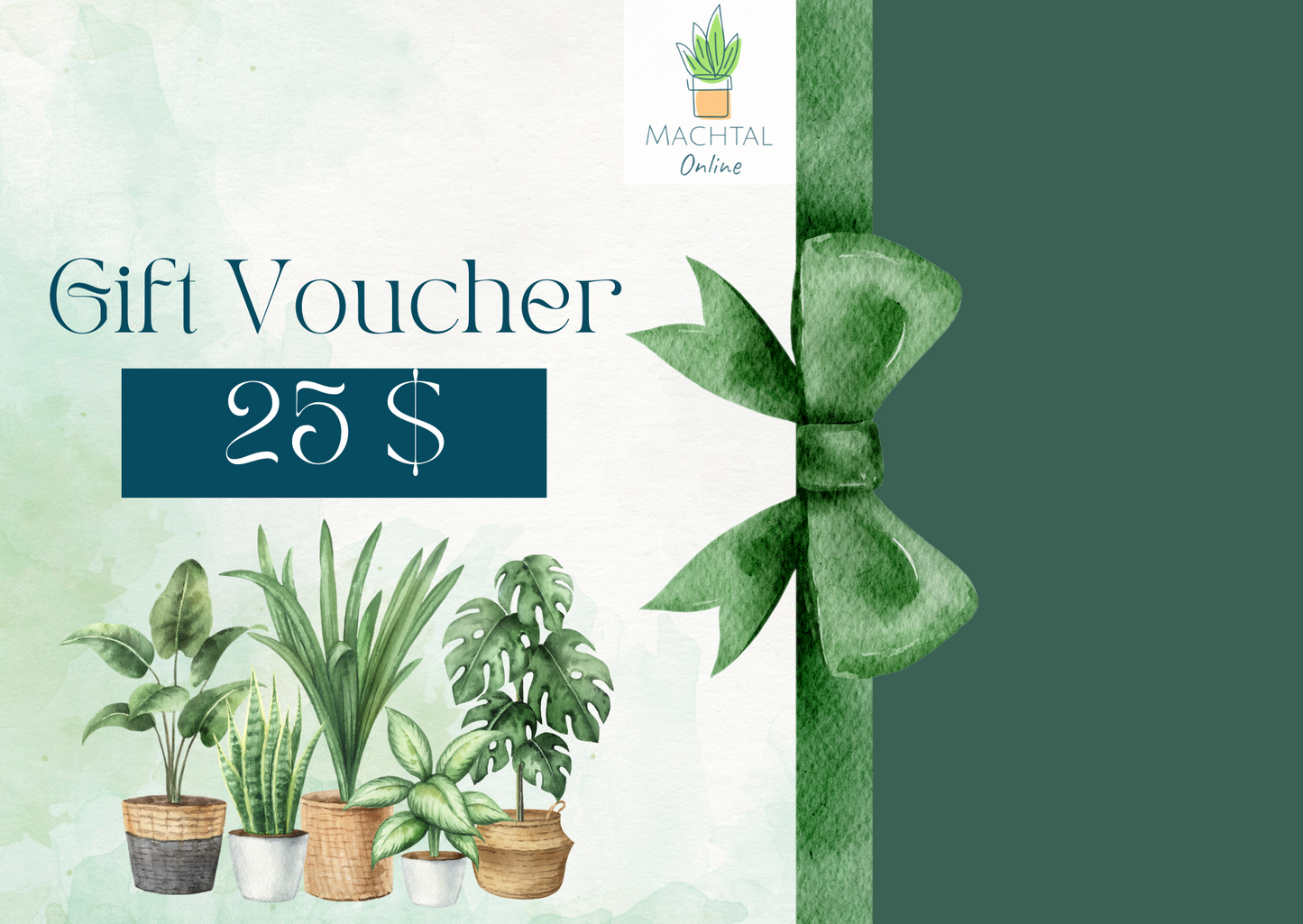 Machtal Online Gift Card