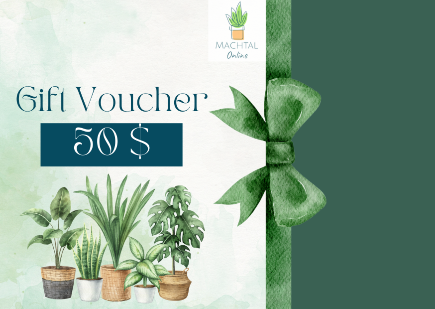 Machtal Online Gift Card